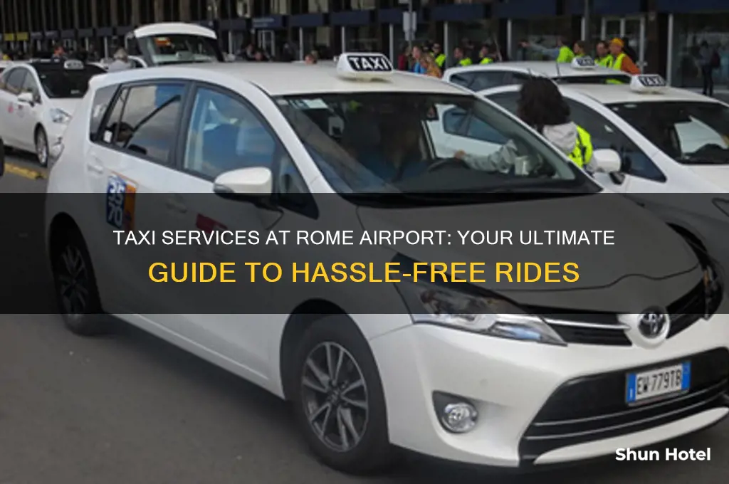 where to get taxi at rome airport