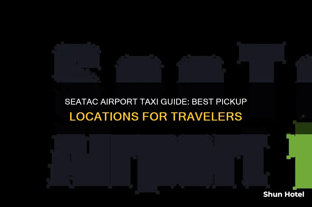 where to get taxi at seatac airport