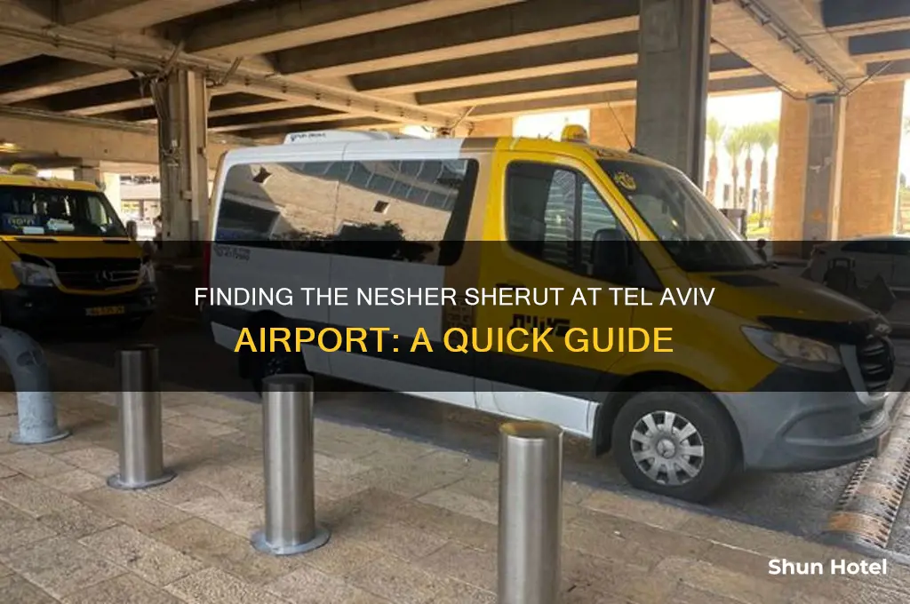 where to get the nesher sherut at tel aviv airport