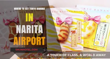 Best Spots to Buy Tokyo Banana at Narita Airport