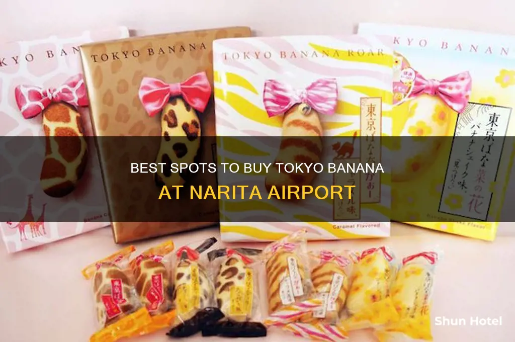 where to get tokyo banana in narita airport