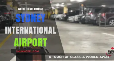 Sydney Airport Uber Guide: Pickup Locations & Tips for Travelers