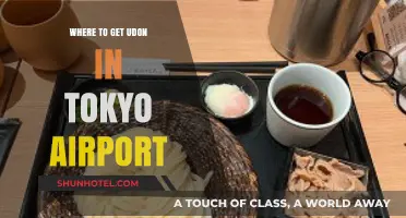 Best Udon Spots at Tokyo Airport: Quick, Delicious Noodle Finds