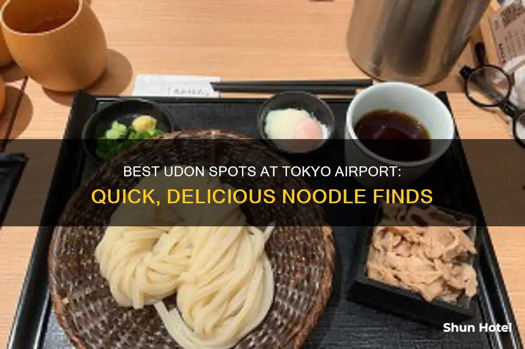 where to get udon in tokyo airport