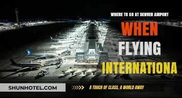 Denver Airport International Travel Guide: Top Spots to Explore Before Your Flight