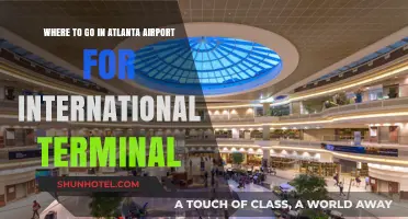 Navigating Atlanta Airport: Best Spots in the International Terminal