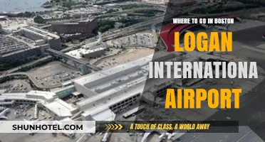 Exploring Boston Logan Airport: Top Spots to Visit and Enjoy