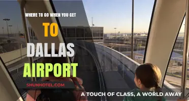 Discover Dallas: Top Spots to Visit After Landing at DFW Airport