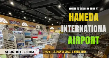Best Grocery Shopping Spots at Haneda International Airport: A Quick Guide