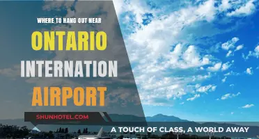 Top Spots to Hang Out Near Ontario International Airport