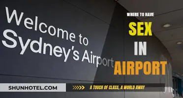 Hot Spots for Airport Sex