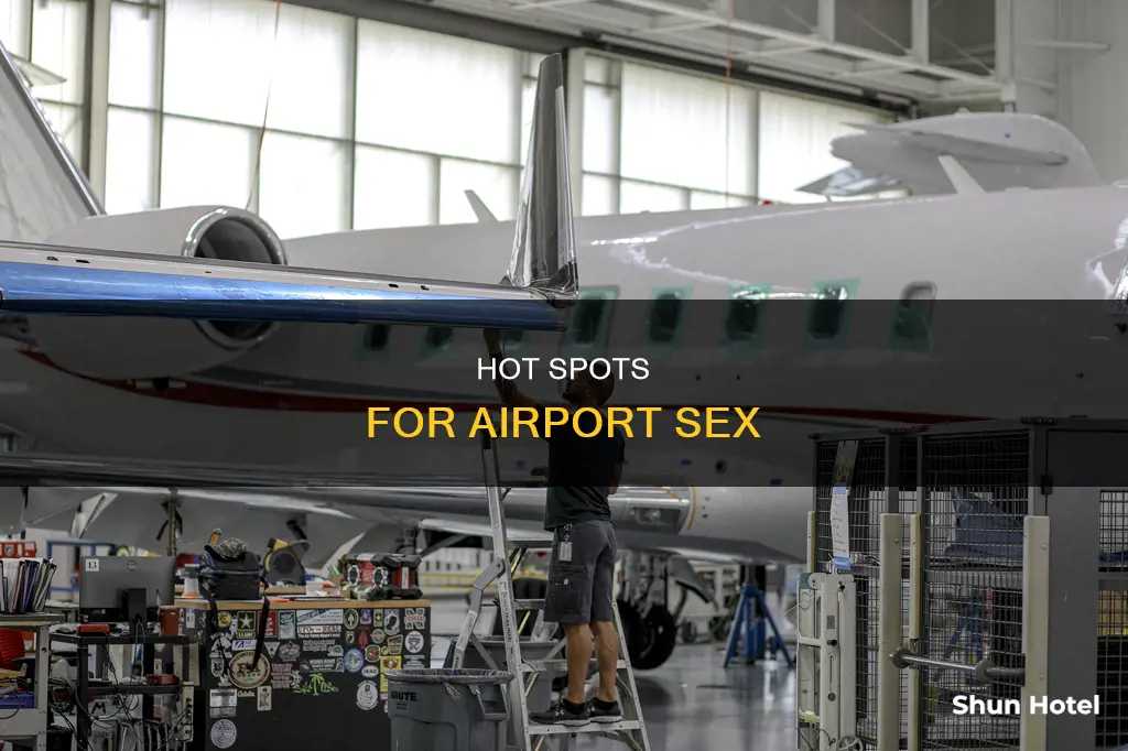where to have sex in airport