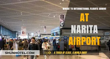 Narita Airport International Arrivals: Terminal Guide for Global Travelers