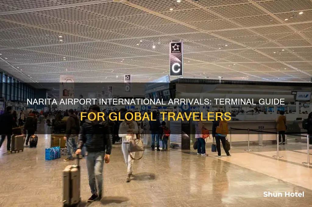 where to international flights arrive at narita airport