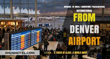 Best Spots to Meet International Arrivals at Denver Airport