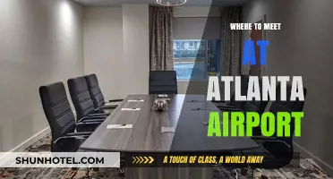 Meeting Spots at Atlanta's Hartsfield-Jackson Airport