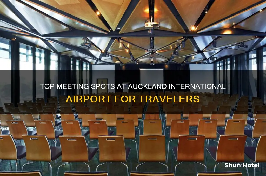 where to meet at auckland new zealand international airport