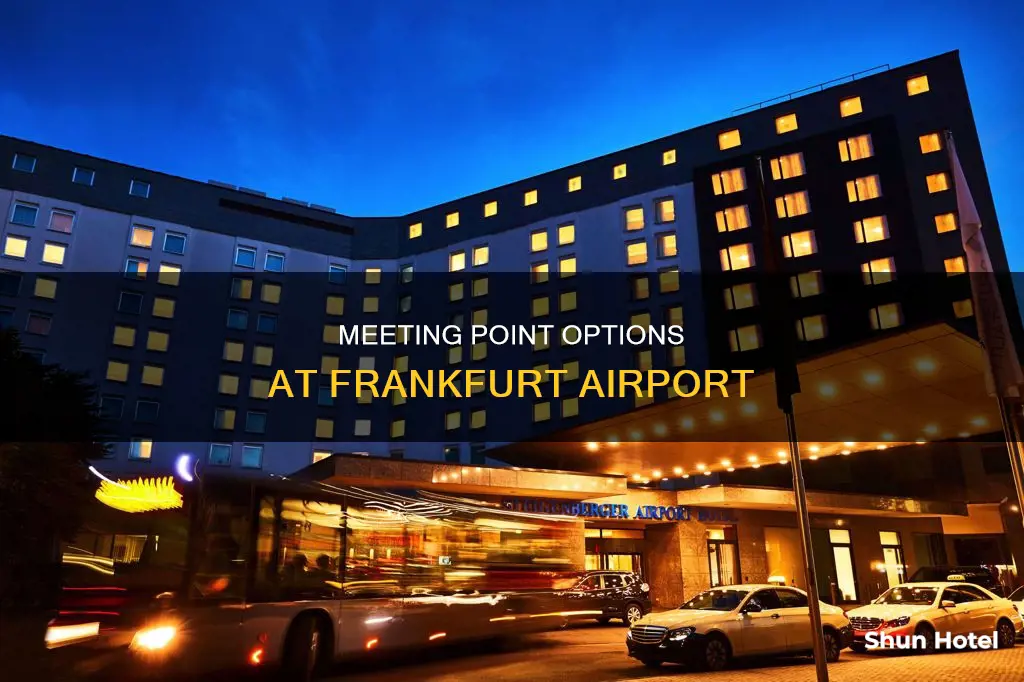 where to meet at frankfurt airport