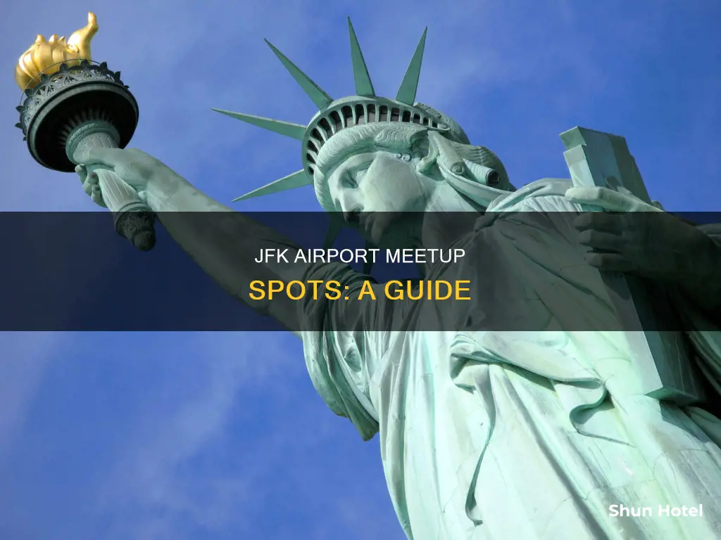 where to meet at jfk airport