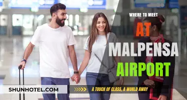 Malpensa Airport: Best Meeting Spots for Travellers
