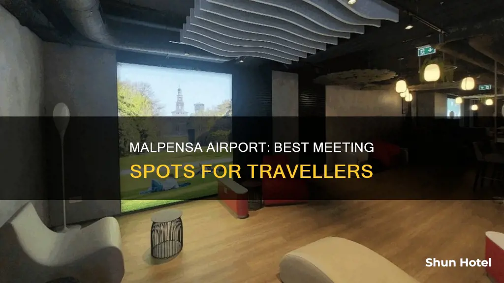 where to meet at malpensa airport