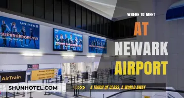 Meeting Spots at Newark Airport