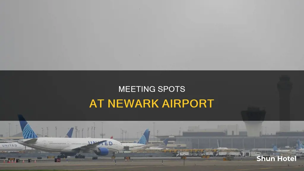 where to meet at newark airport
