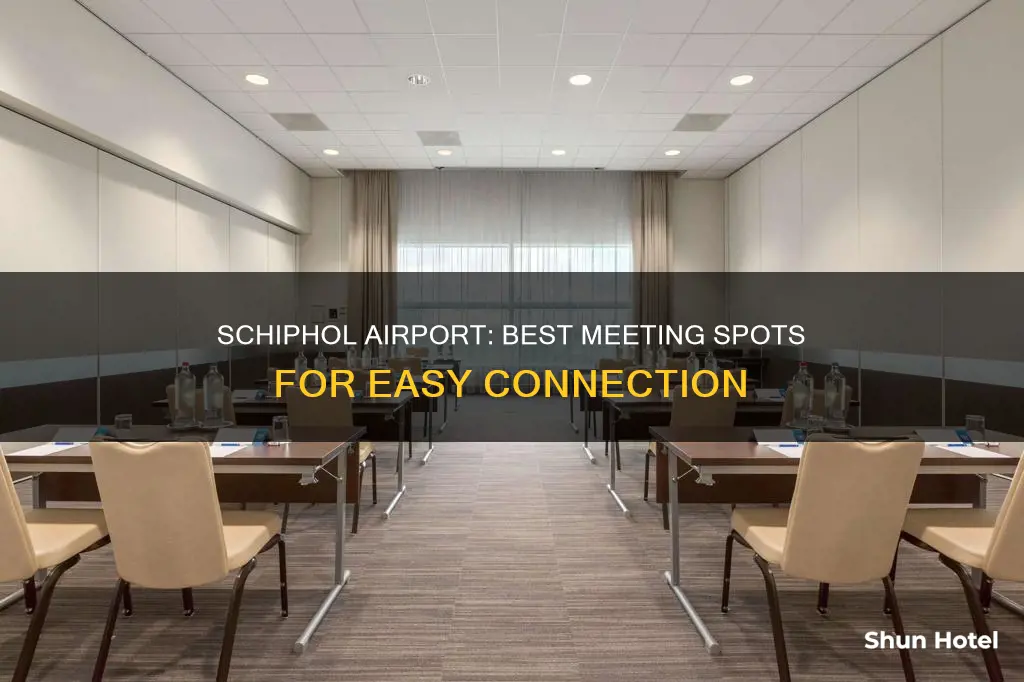 where to meet at schiphol airport