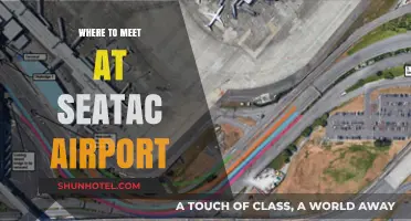 Meeting Spots at Sea-Tac Airport