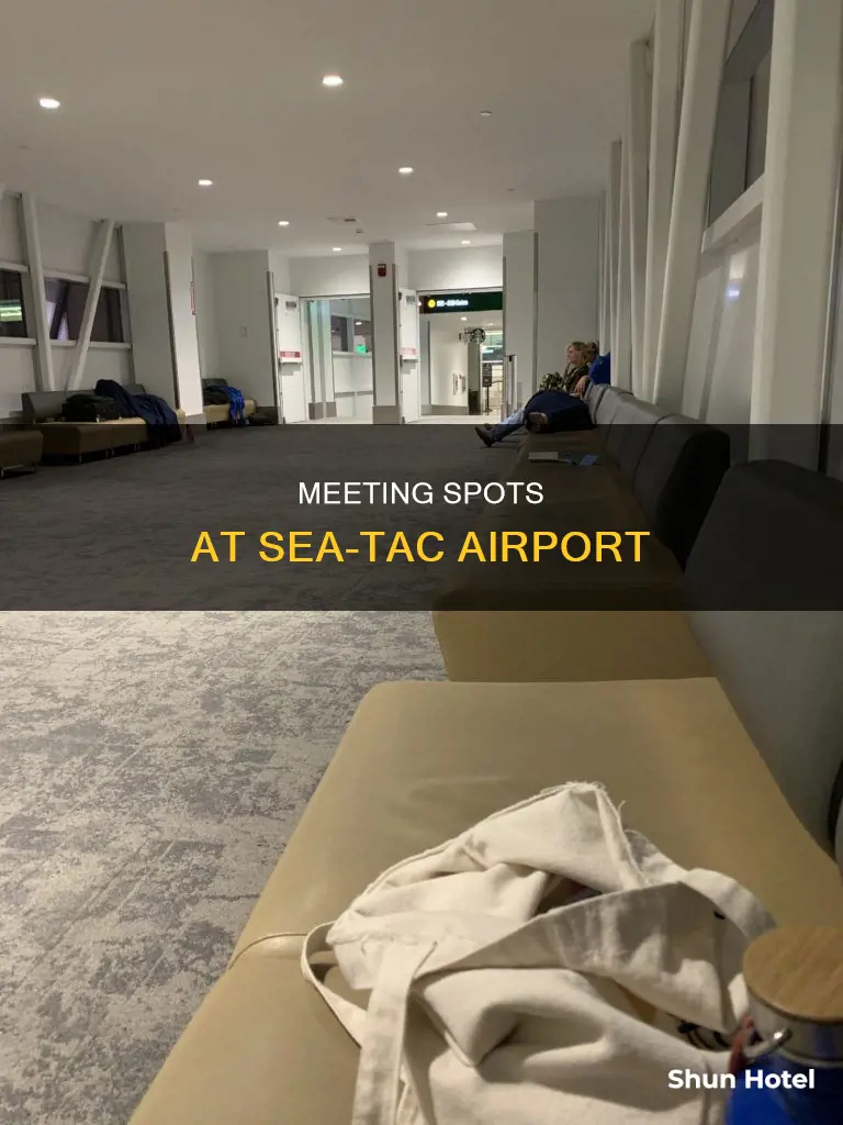 where to meet at seatac airport
