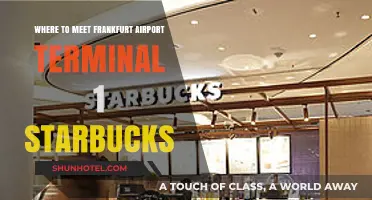 Exploring Frankfurt Airport: Your Guide to Terminal 1 Starbucks