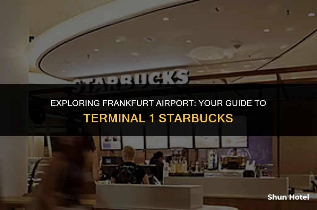 where to meet frankfurt airport terminal 1 starbucks