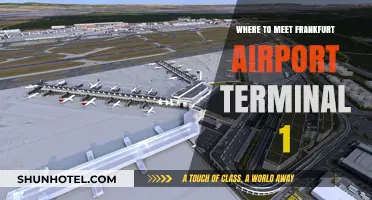 Navigating Frankfurt Airport: Your Guide to Terminal 1 Meetups