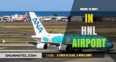 Honolulu Airport Meet-up Spots: A Guide
