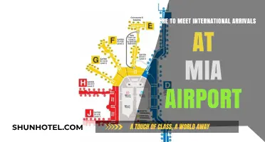 Best Spots to Greet International Arrivals at Miami Airport
