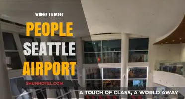 Exploring Seattle: Making Connections at the Airport