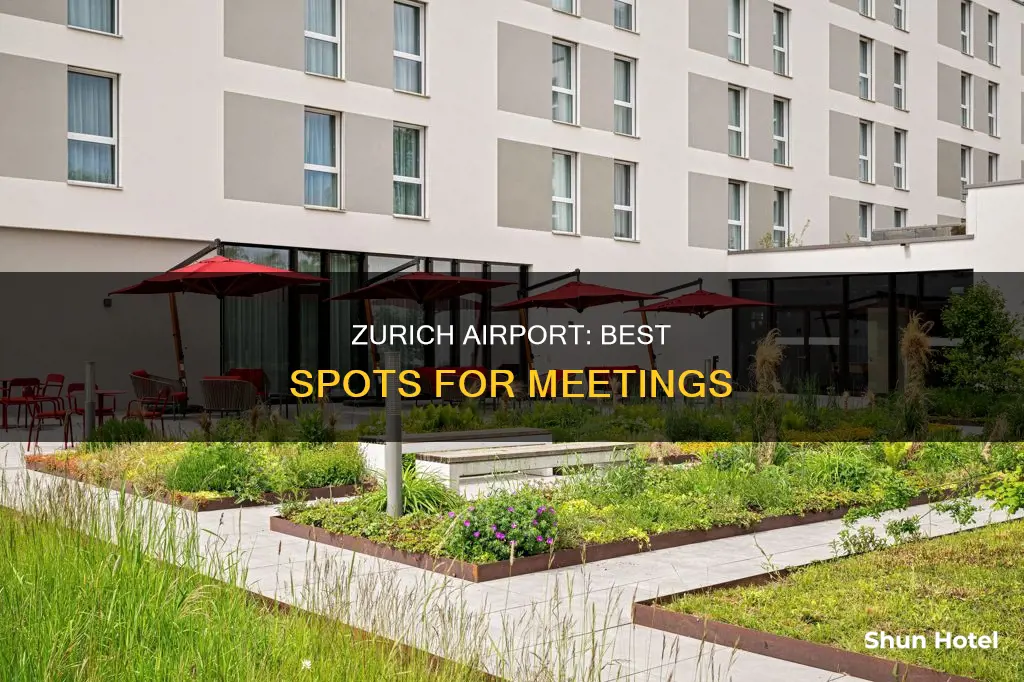 where to organize meeting airport zurich