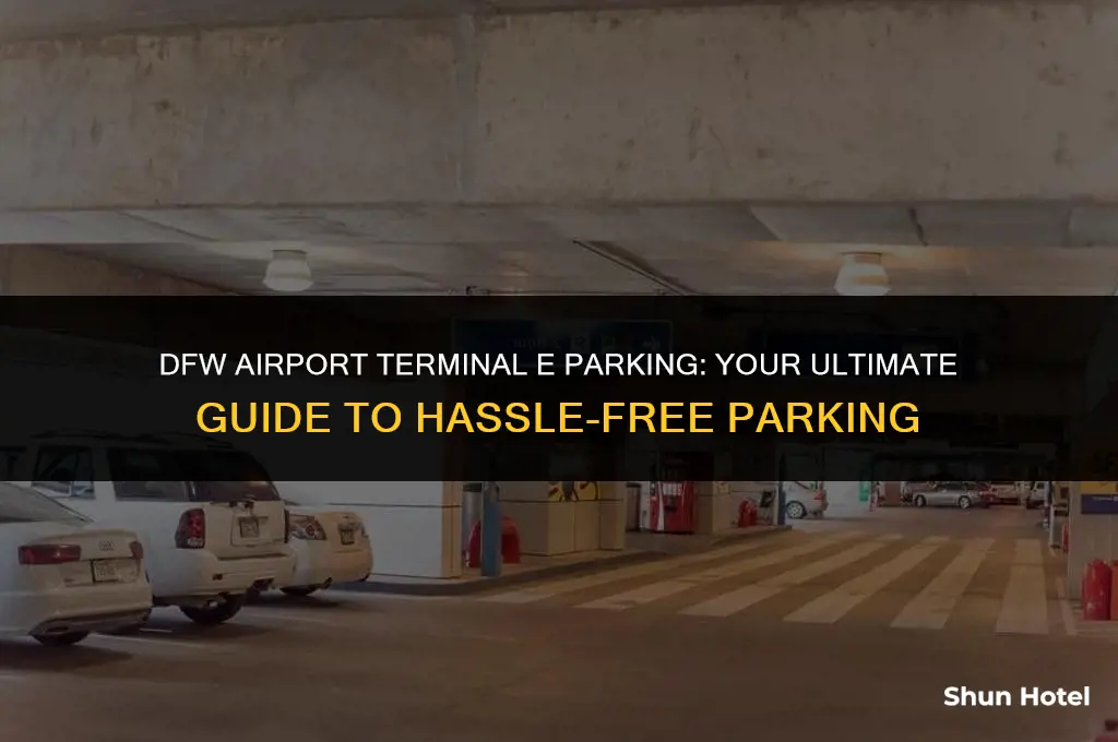where to park at dfw airport terminal e