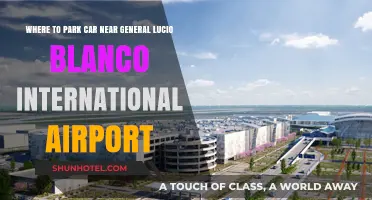 Convenient Parking Options Near General Lucio Blanco International Airport