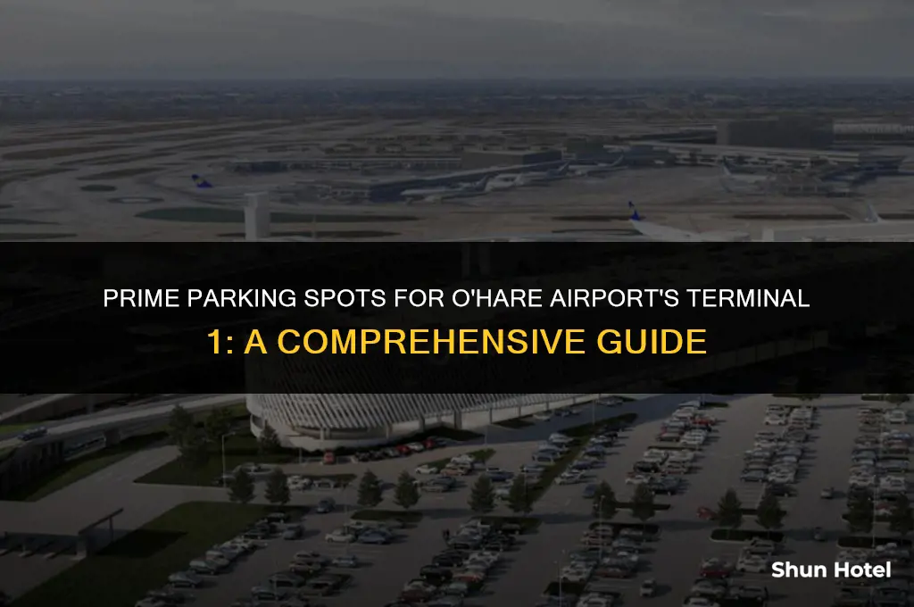 where to park for terminal 1 at o