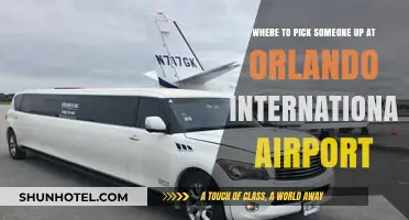 Orlando Airport Pickup Guide: Best Spots to Meet Arrivals