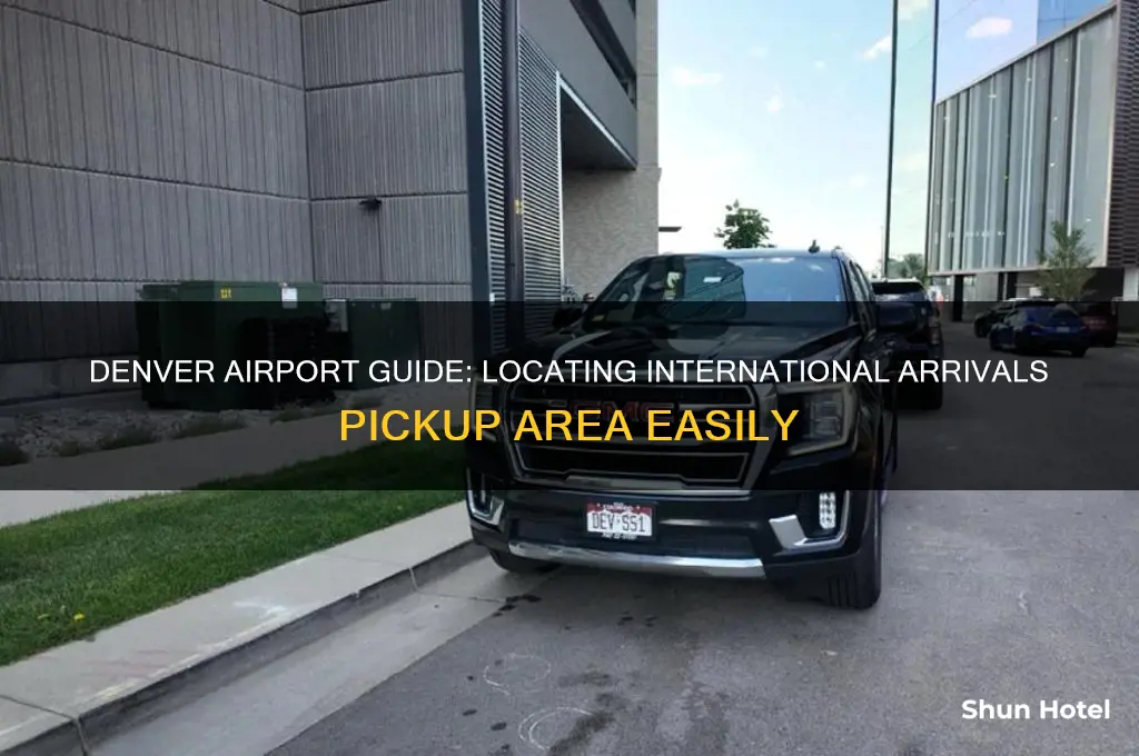 where to pick up international arrivals at denver airport