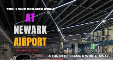 Navigating Newark Airport: Best Spots for International Arrivals Pickup
