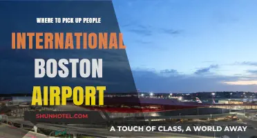 Best Spots to Meet People at Boston Logan International Airport