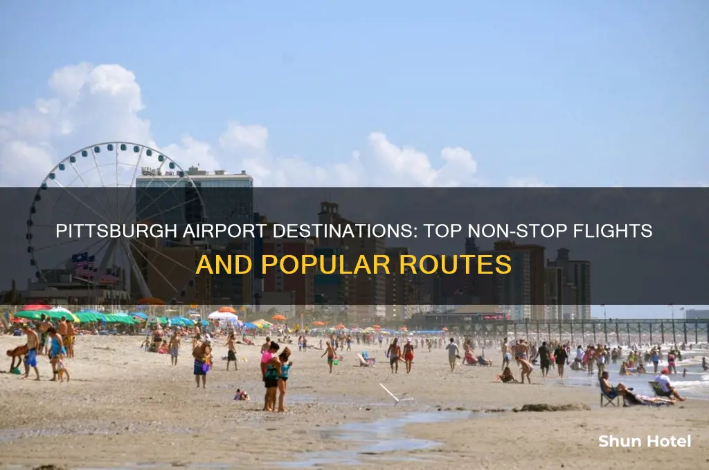 where to pitzburgh airport fly to
