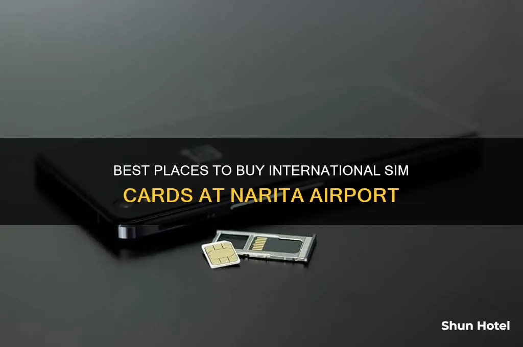 where to purchase international sim card at narita airport