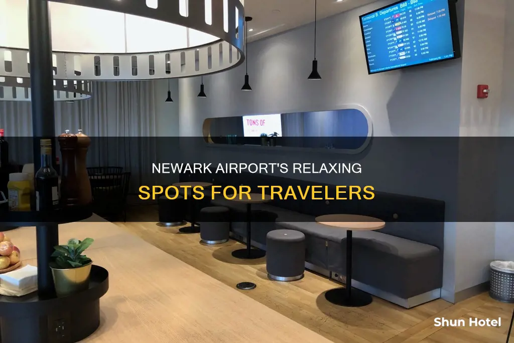 where to relax at newark airport