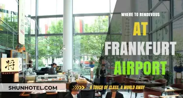 Exploring Frankfurt Airport: Best Places to Meet and Greet