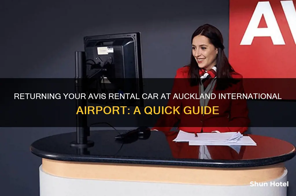 where to return avis rental car at auckland international airport