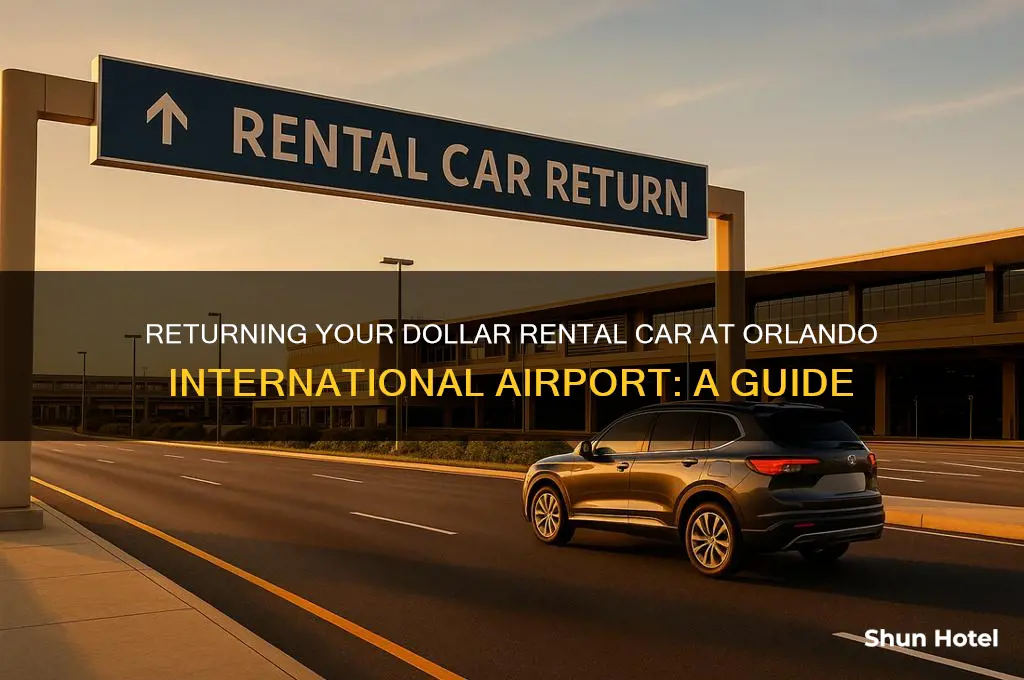 where to return dollar rental car at orlando international airport